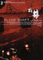 Blind Shaft