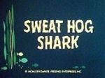 Sweat Hog Shark