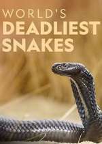 World&#39;s Deadliest Snakes
