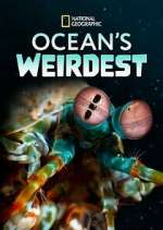 Ocean&#39;s Weirdest