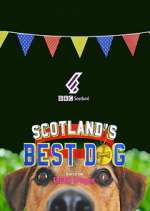 Scotland&#39;s Best Dog