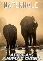 Waterhole: Africa&#39;s Animal Oasis