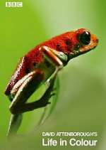 Attenborough&#39;s Life in Colour