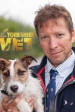 S21 E3 The Yorkshire Vet Season 21 Episode 3