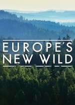 Europe&#39;s New Wild